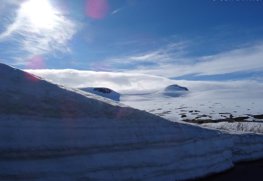 Skandinavien (80 von 590)