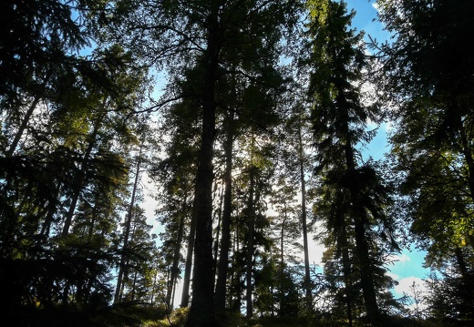 Norwegen2016 (14 von 453)