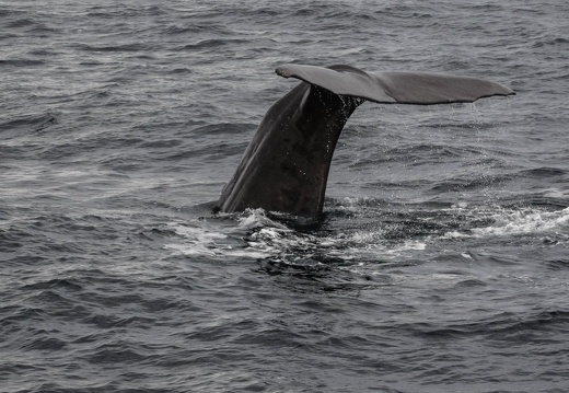 Norwegen2016 (92 von 453)