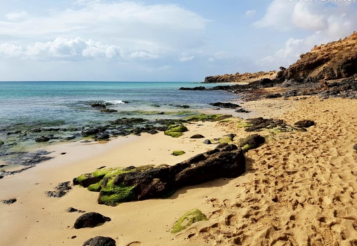 Fuerteventura (57 von 76)