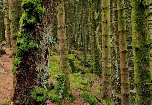 Norwegen23 (148 von 392)