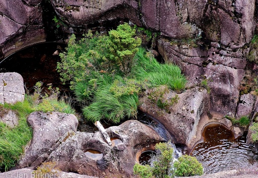 Norwegen23 (338 von 392)