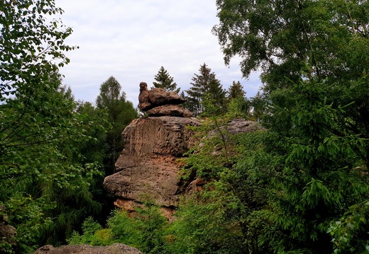 scaled 20210720 162742