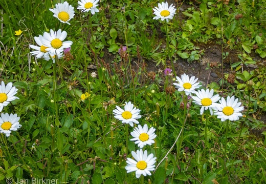 SwItMon22 (10 von 448)