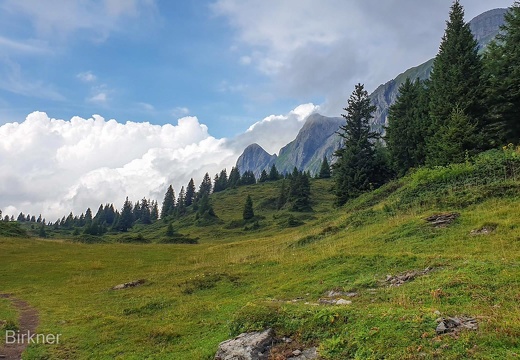 SwItMon22 (28 von 448)