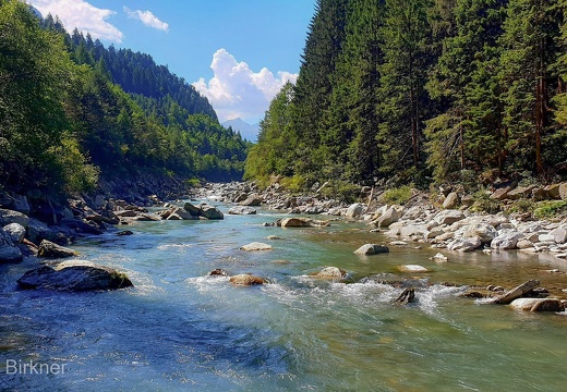 SwItMon22 (363 von 448)